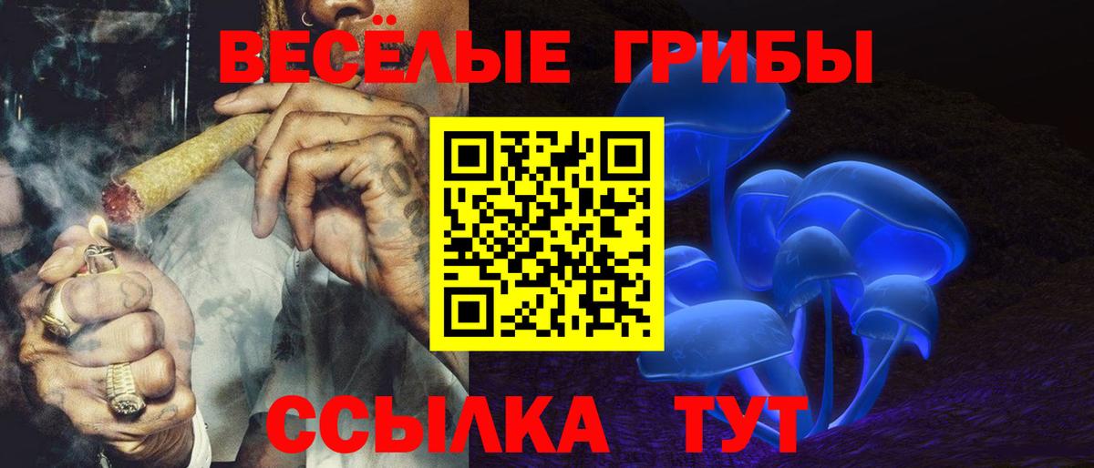 Петрозаводск  Псилоцибиновые грибы Psilocybine cubensis  Вход с VPN 
